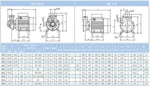 Насос вихревой SAER KF 1 230/50 Hz 100548256_3