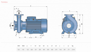 Насос Pedrollo F100/200C 4FNA10200CE_3