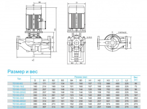 Насос CNP TD100-40G/2 SWHCJ TD100-40G/2SWHCJ_2