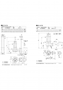 Насос CNP 200WQ250-15-18.5(I) 200WQ250-15-18,5(I)_3