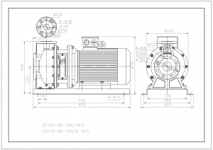 Насос CNP ZS100-80-160/18,5 ZS 100-80-160/18,5_3