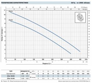 Насос Pedrollo ZXm 1В / 40 каб.10м 48SDZE4BA1U_2