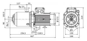 Насос Wilo MEDANA CH1-L.1603-1/E/E/10T 4239783_2