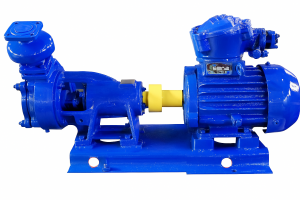 Насос Ливгидромаш ВКО10/45А с эл. двиг. АИР180S4 — 22 кВт. ВКО10/45А С ЭЛ. ДВИГ. АИР180S4 — 22 КВТ._1